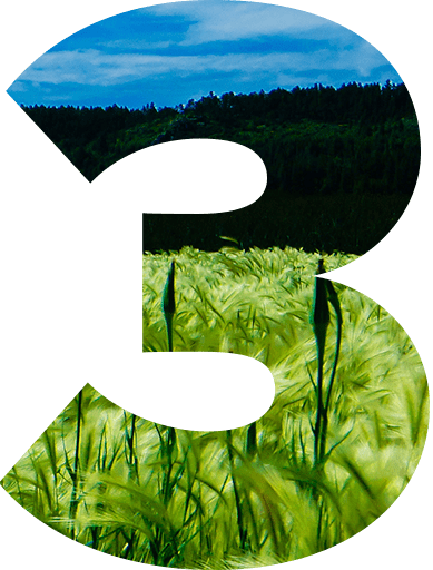 num1
